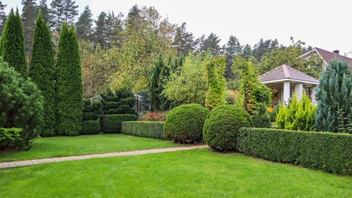 Entretien de jardin Loire